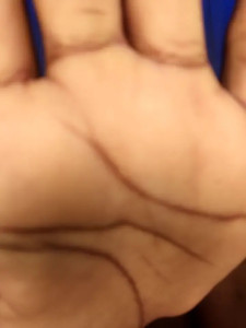 nemcy_bae