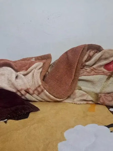 Bebu2244