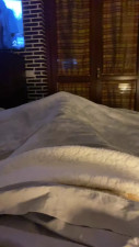 Watch Pulvi recorded live streams from CAM4 on 2025/02/27, Cam Archive