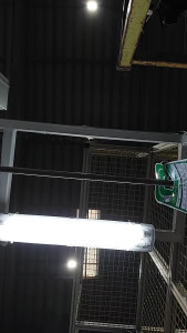 NinfetaVip
