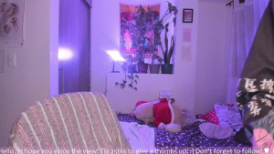 honey_hoe
