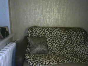 Watch LindaElosiMilf recorded live streams from BongaCams on 2025/03/14, Cam Archive