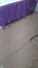 Watch Vanessasalesv recorded live streams from CAM4 on 2025/03/17, Cam Archive