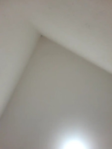 sgjih