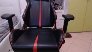 _jess1
