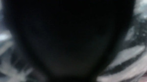 SAPIA_SEXUAL