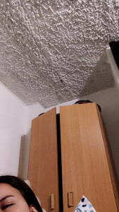 bellajade1985