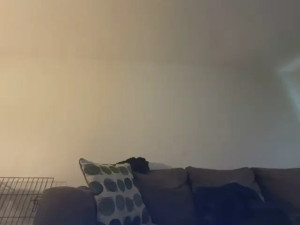 Watch DarkkChocolatee recorded live streams from Stripchat on 2025/03/24, Cam Archive