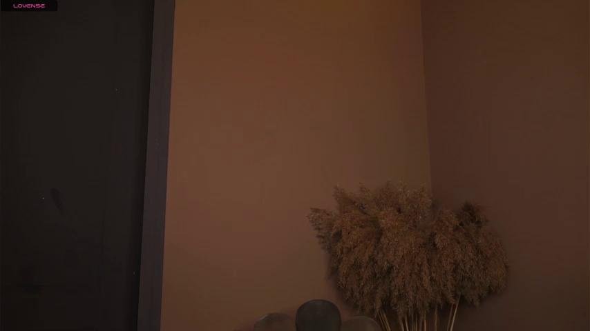 Watch wendy_amber recorded live streams from Chaturbate on 2023/11/07, Cam Archive