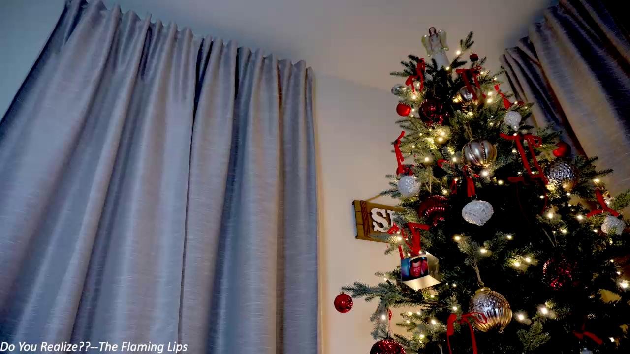 Watch x_lily_x recorded live streams from Chaturbate on 2024/01/03, Cam Archive